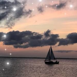 Meet your Posher, Carmen